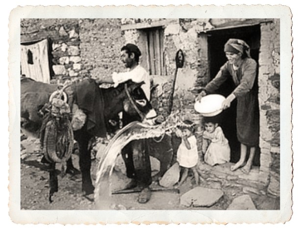 sin motivo sin necesidad