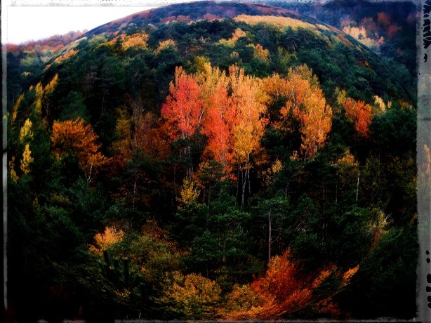 SAMSUNG CAMERA PICTURES