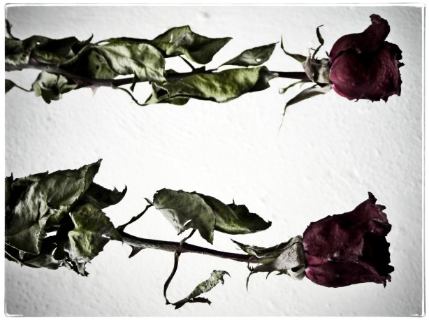 A dos renglones de vida