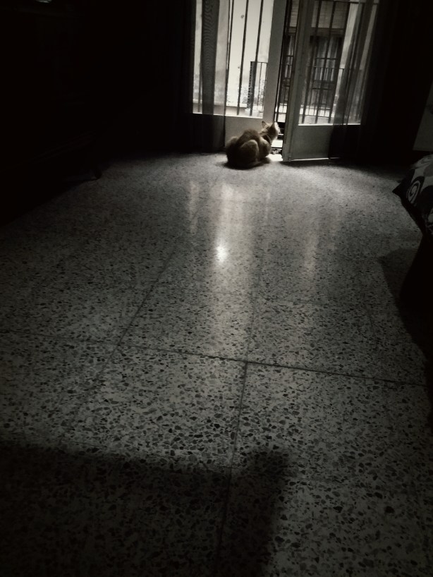 Las distancias de la imaginación