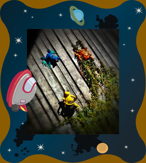 Ranas extraterrestres