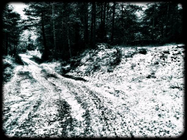 Un día magnífico peq